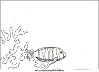 disegni_vari/fondi_cornici/fondi 48.JPG